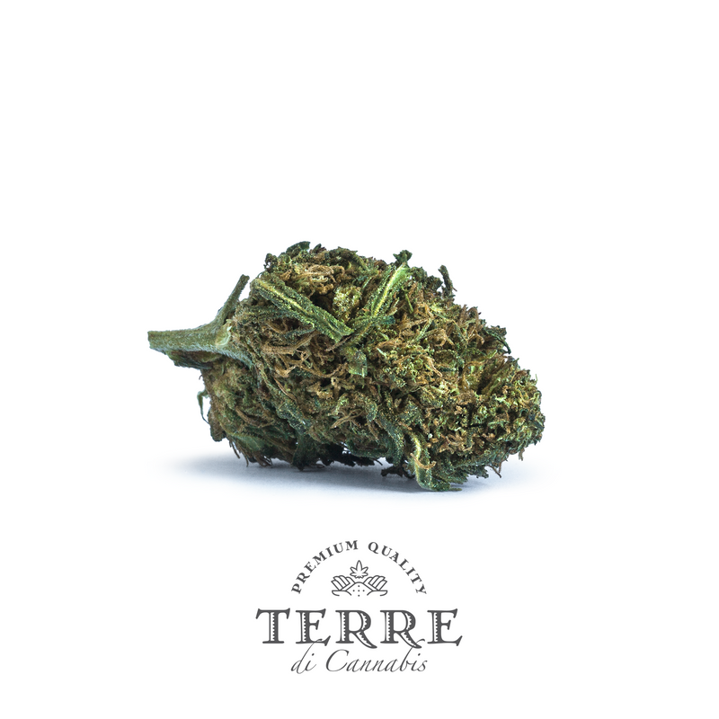 products/TERRE_FATALE_FLOWER_2021.png
