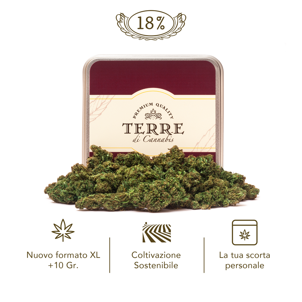 Extra Large | 10g to 60g