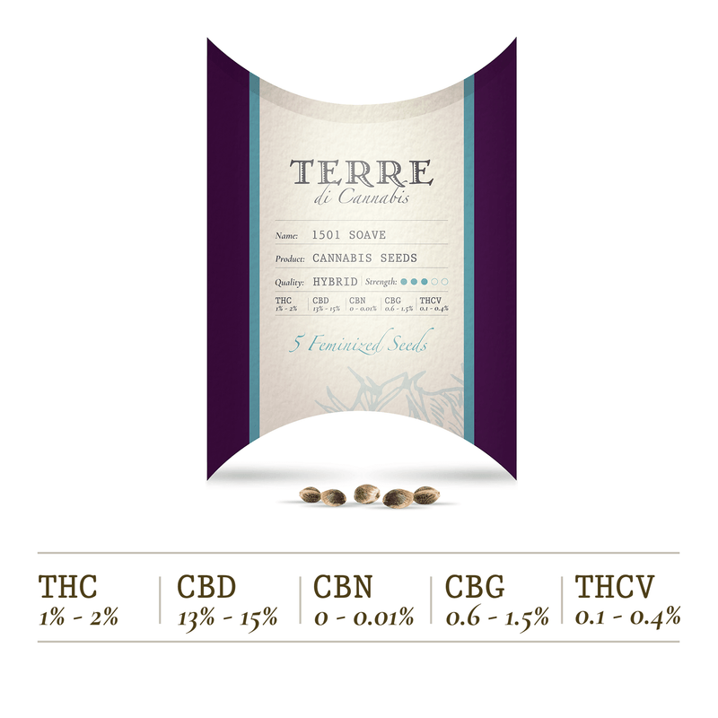 products/TERRE_di_CANNABIS_seeds_SOAVE.png